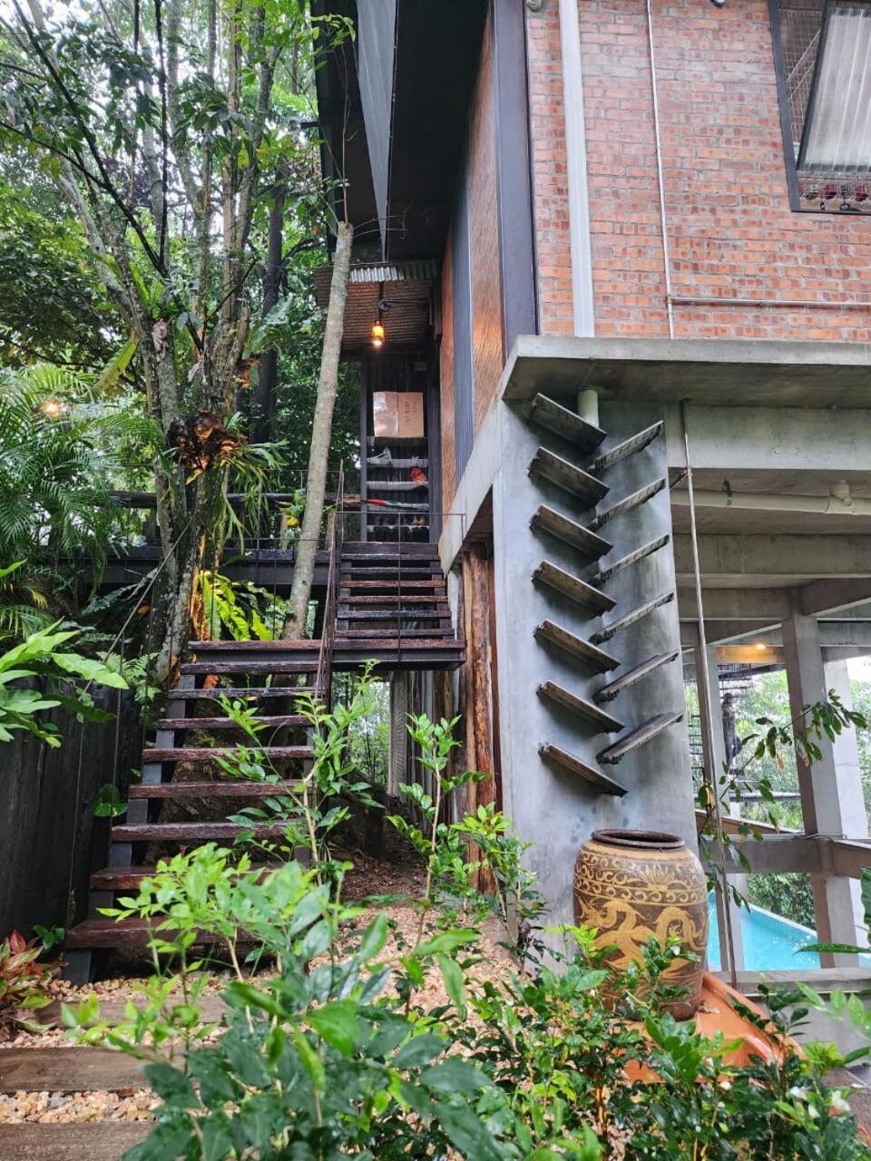 הוילה קואלה קובו בארו The Wildwood Retreat Kkb מראה חיצוני תמונה